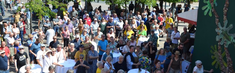 Ferniseringsarrangement i Brande